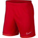 &scaron;ortai vyrams Nike Dri-FIT Academy J9994 657, raudoni