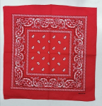Bandana skarelė