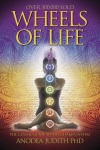 Knyga Wheels Of Life Llewellyn