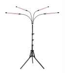 Wolezek BL-J20B