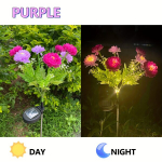 LED lauko žibintas su saulės baterija, Violetinė