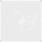 Skaidrus brezentas su ąselėmis 2x2 m pvc