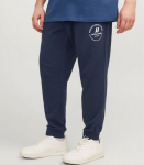 Jack & Jones vyri&scaron;kos sportinės kelnės 12253887*01, tamsiai mėlyna 5715507492023, 42