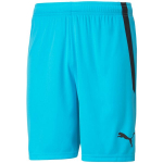 Vyri&scaron;ki &scaron;ortai Puma teamLIGA, mėlyni 704924 40