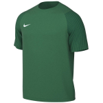 Vyri&scaron;kas mar&scaron;kinėlis Nike Dri-Fit Academy II, žalias, HV8160 302, S