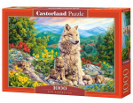 Dėlionė Castorland Puzzle New Generation, 1000 d.