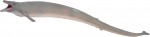 Figūrėlė dinozauras Bazylozaur 004-88797