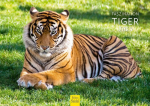 Edition Seidel Premium kalendorius Fascination Tiger 2025, Din A4 formato sieninis kalendorius, gyvūnų kalendorius, Afrika, Azija, plė&scaron;rūnas, laukinis gyvūnas, plė&scaron;ri katė, jauniklis