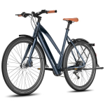 Elektrinis dviratis Fafrees F700W 26", mėlynas
