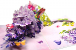 3D i&scaron;siskleidžiantis atvirukas, kolibris ir glicinija, violetinė gėlių kompozicija, 15x20 cm, su voku