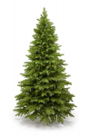 Dirbtinė kalėdinė eglutė limba pine 100% pe, 255 cm