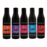 Profesionalus stabilizuotas 1,9% kremas Profis Cosmetics Oxydant Creme, 1 l