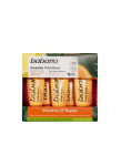 Drėkinamos ir atstatomos ampulės plaukams Babaria Nutritive & Repair, 5 x 15 ml