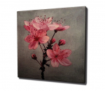 Reprodukcija Vy&scaron;nių žiedai