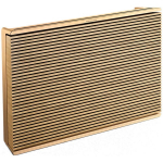 Bang & Olufsen Beosound Level Gold Tone