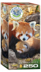 Dėlionė Eurographics, 8251-5557, Red Pandas, 250 d.