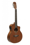 Elektro-klasikinė gitara James Nelighan OLO-CE N