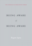 Being Aware of Being Aware: The Essence of Meditation, Volume 1, Volume 1