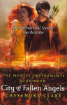 Mortal Instruments 4: City of Fallen Angels