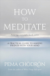 How to Meditate: A Practical Guide to Making Friends with Your Mind