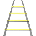 Koordinacinės kopėčios Dunlop