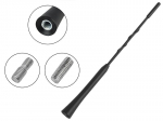 Universalus automobilio antenos stiebas Oem