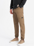 Laisvalaikio kelnės vyrams Ombre Clothing, rudos