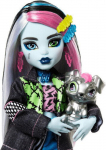 Lėlė Monster High Core Frankie Stein
