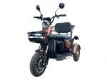 Elektrinis triratis motoroleris M20, Li-ion, rudas