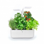 Veritable&reg; Garden Classic