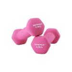 Svarmenų rinkinys Songmics SYL61PK, 2x0,5 kg