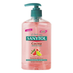 Skystas muilas su dozatoriumi Antibacterias Kitchen Sanytol, 250 ml