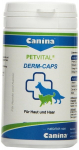 Canina papildas &scaron;unims Petvital Derm Caps N100, 40 g