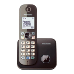 Panasonic KX-TG6811FXM, pilkas