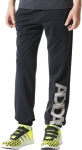 Kelnės Adidas YB LR B SWT PT, 164 cm