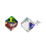 Sidabriniai auskarai moterims Diamond Sky DS02A869