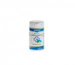 Canina Petvital Arthro N60 papildai &scaron;unų judrumui atstatyti, 60 g