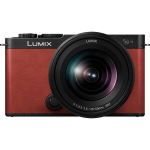 Panasonic Lumix DC-S9K + 20-60 mm