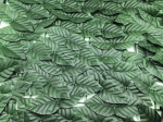 Ivy tinklelis maskuojantis užvalkalas balkonui 50cm x 300cm
