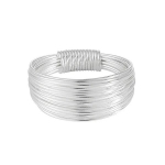 Sidabrinis žiedas Wired - 16 R0503-16