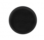 Sensomotorinė balansavimo pagalvė BalancePro