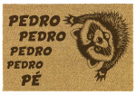 Vidaus durų kilimėlis kokosinis 40&times;60 cm &bdquo;PEDRO PEDRO PEDRO PE&rdquo;