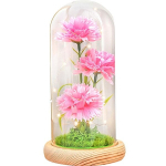 &Scaron;vytinti naktinė lempa su gėlėmis, LED gėlių &scaron;viesa, lemputė su įmontuotomis gėlėmis, dekoratyvinė gėlių lempa, Magicso