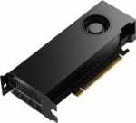 Vaizdo plok&scaron;tė NVIDIA RTX 4000 ADA - Grafikkarten - RTX 4000 SFF Ada - 20 GB GDDR6 - PCIe 4.0 x16 - 4 x DisplayPort