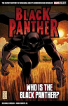 Marvel Select Black Panther: Who is The Black Panther?, Marvel Select Black Panther: Who is The Black Panther?