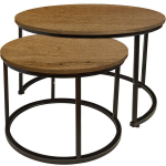 Kavos staliukų rinkinys, begryf, apvalūs, 53x47 ir 43x39 cm, alksnis, metalinės kojos, modernus dizainas