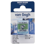 Van Gogho akvarelinis dažas Godet Gris de Davy 748