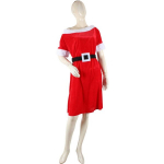 Kalėdinė dekroacija Saska Garden