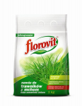 Trą&scaron;os vejai su geležimi Florovit
