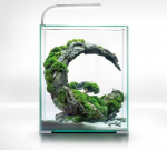 Akvariumas Aquael Shrimp Set Smart Day&Night 30, 30 l, skaidrus